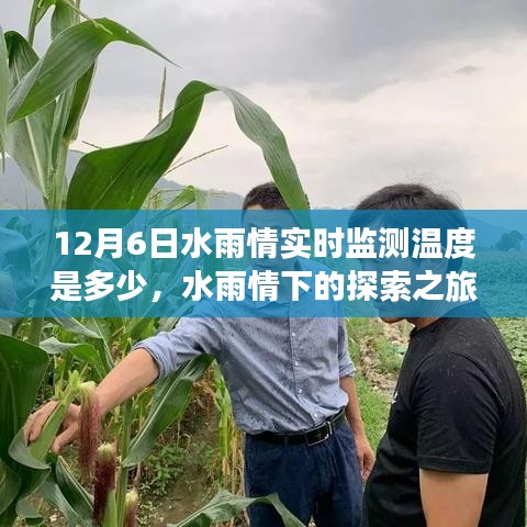 水雨情下的探索之旅，实时温度监测与内心宁静的寻找