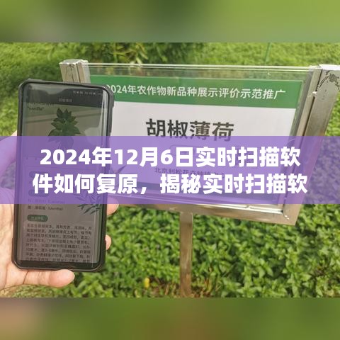 揭秘实时扫描软件复原技术，数据恢复的新篇章（2024年实时扫描软件复原指南）