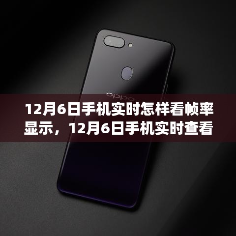 多维度视角下的探讨，如何实时查看手机帧率显示（12月6日指南）