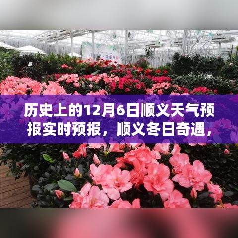 历史上的12月6日顺义天气预报背后的友情故事