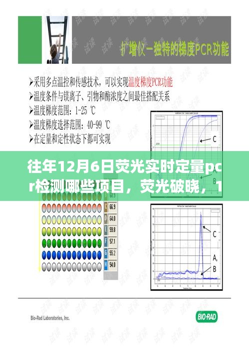 第1085页