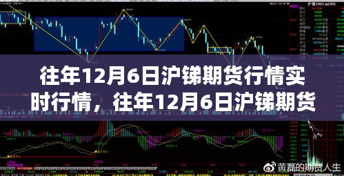 往年12月6日沪锑期货行情解析，实时动态与市场深度分析