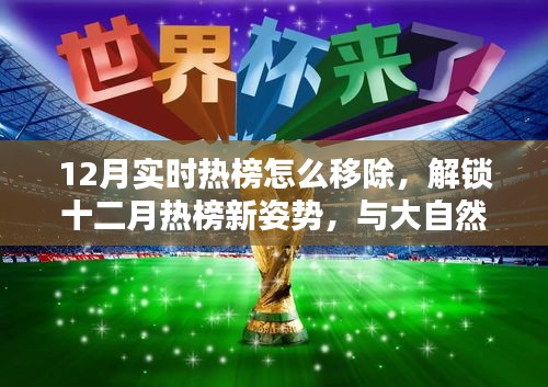 解锁十二月热榜秘籍，移除实时热榜指南与大自然美景共舞寻找内心平和宁静之旅