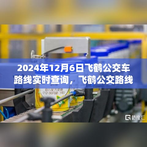 飞鹤公交路线实时查询系统深度评测与介绍，实时掌握飞鹤公交路线动态，便捷出行体验（2024年12月6日更新）