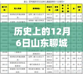 山东聊城报名实时人数分析，历史上的12月6日深度评测与介绍