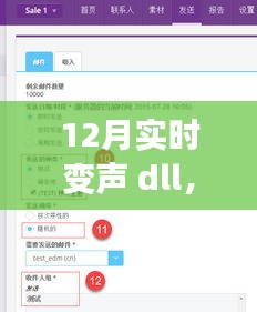 独家揭秘，12月最新实时变声dll，声音魅力瞬间升级！