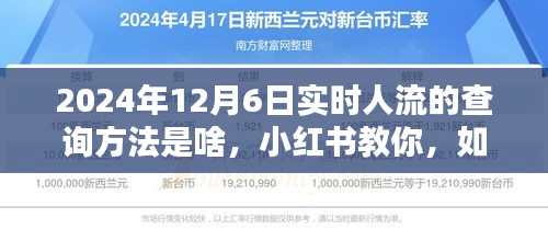 小红书教你查询，2024年12月6日实时人流动态查询方法揭秘！