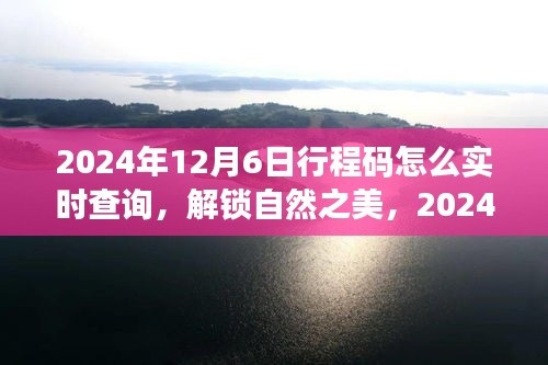 2024年12月6日行程码实时查询指南，解锁自然之美，启程心灵之旅