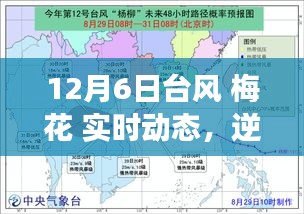 台风梅花下的逆风力量，实时动态与励志故事见证变化的力量
