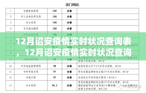 全面评测与详细介绍，12月诏安疫情实时状况查询表