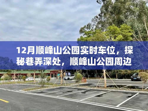 顺峰山公园实时车位探秘与特色停车指南，巷弄深处的奇遇与别致小店