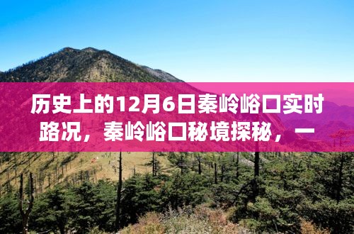 历史上的12月6日秦岭峪口实时路况揭秘，探秘特色小店与秘境