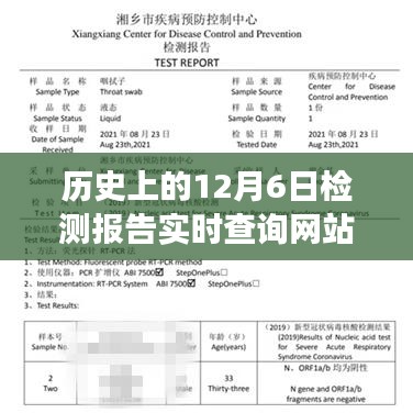 揭秘历史上的十二月六日，检测报告实时查询网站的演变之旅