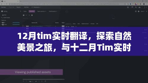 十二月Tim实时翻译之旅，探寻自然美景，寻找内心的平和魔法之地