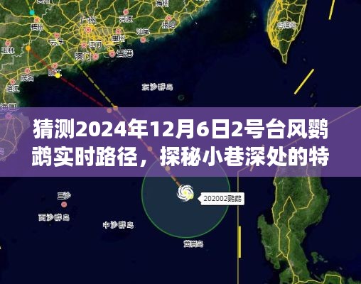 探秘特色小店与预测台风鹦鹉的奇妙旅程，2024年12月6日2号台风鹦鹉实时路径揭秘