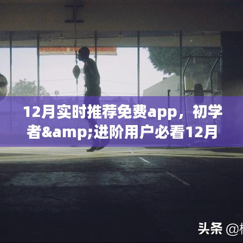 初学者与进阶用户必看，12月最新免费App实时推荐与安装指南