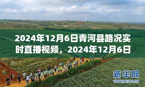 青河县路况实时直播视频，一览无遗的交通动态