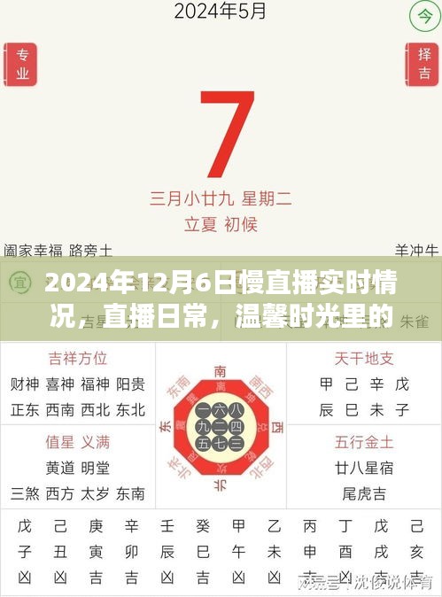 2024年12月6日慢直播，温馨时光里的日常美好