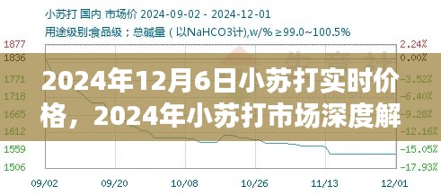 2024年小苏打市场深度解析，实时价格、行情走势与购买指南