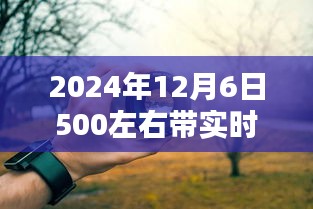 2024年热门实时取景相机深度解析，未来摄影利器预览