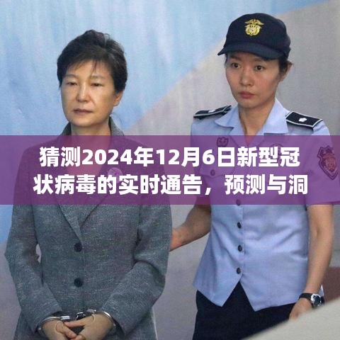 2024年新型冠状病毒实时通告预测与洞察，最新动态及未来趋势分析