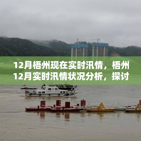 梧州12月实时汛情分析与应对策略，影响及行动指南