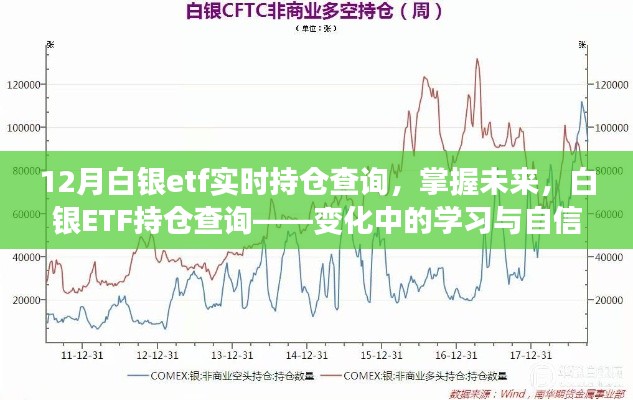 白银ETF持仓实时查询，掌握未来，开启学习与自信之旅