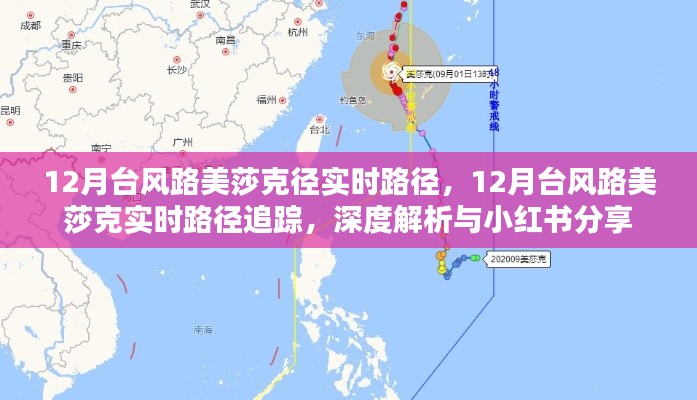 深度解析与小红书分享，台风路美莎克实时路径追踪与深度解析