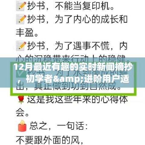 12月最新实时新闻全攻略，从初学者到进阶用户的精选新闻摘抄