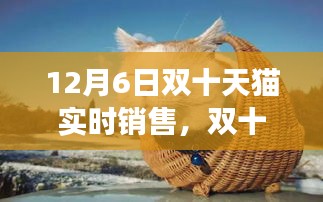 青天白日 第2页