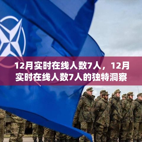 12月实时在线7人，独特洞察与不同寻常的在线体验分析