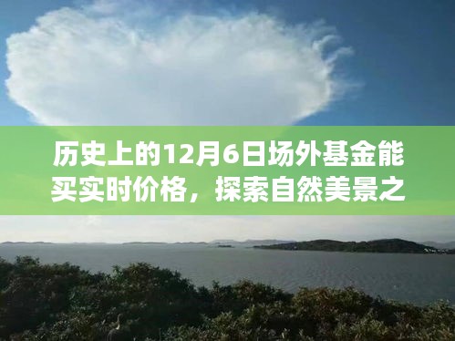 探索自然美景之旅与心灵对话，12月6日场外基金的实时价格探索