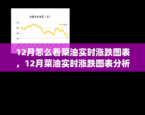 12月菜油实时涨跌图表分析与市场走势洞察