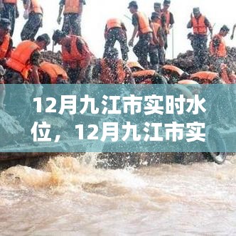 12月九江市实时水位状况，多方影响探讨与解析