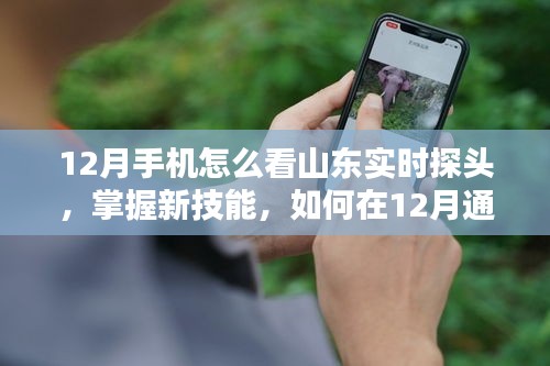 12月手机实时查看山东探头监控画面指南