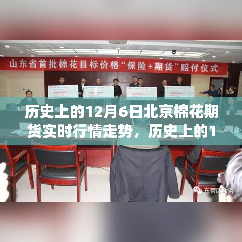 历史上的12月6日北京棉花期货实时行情走势深度探析
