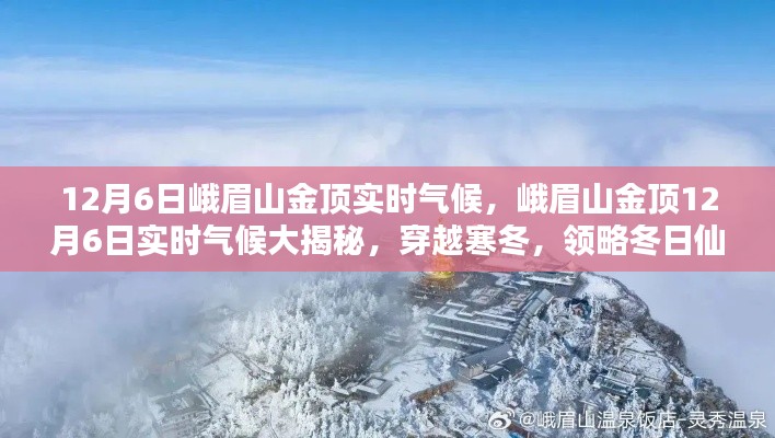 还淳反素 第2页