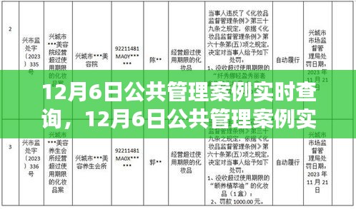 科技赋能下的公共管理案例实时查询系统，智慧管理新时代的探索实践