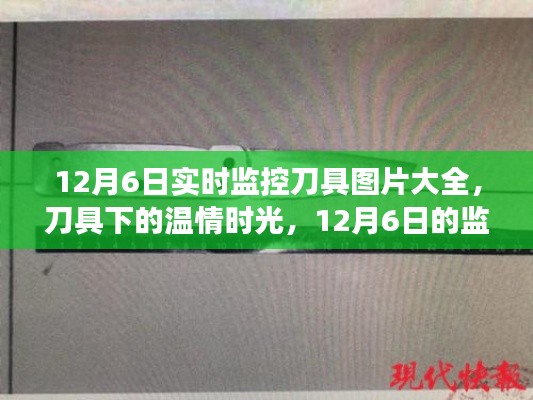 刀具监控下的温情时光，刀具图片大全与监控故事纪实（12月6日）