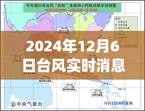 台风动态与小巷特色小店探秘，背后的故事与实时消息