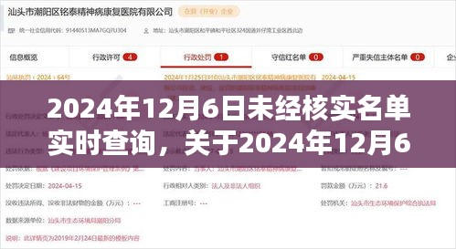 关于未经核实名单的实时查询，最新动态与详细解读（2024年12月6日）