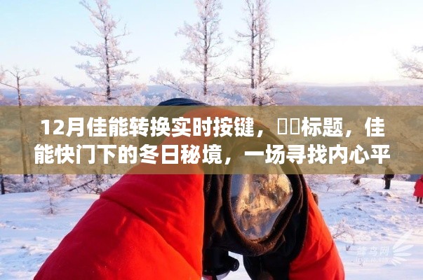 佳能快门下的冬日秘境，探寻内心平静的摄影之旅