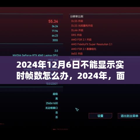 2024年无法实时显示帧数问题解析与应对思考