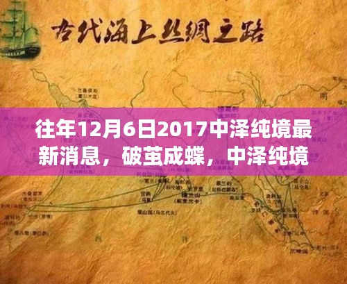 中泽纯境励志故事，破茧成蝶，最新消息揭晓