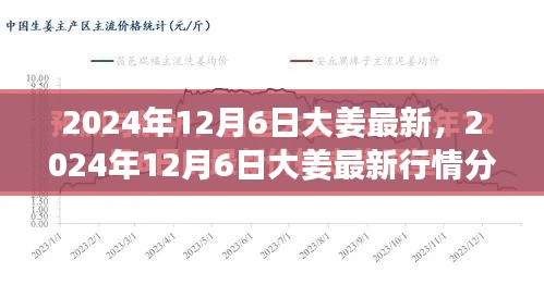 2024年12月6日大姜最新行情分析与市场预测