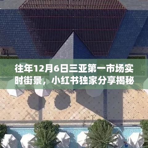 重温往年12月6日三亚第一市场鲜活街景，小红书独家揭秘繁华盛况