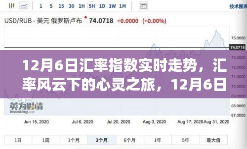 12月6日汇率指数实时走势，心灵之旅与自然的奇妙对话