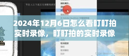盯盯拍实时录像深度观察，如何观看与解析，2024年12月6日指南