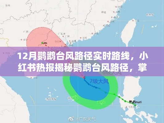 12月鹦鹉台风路径实时更新，小红书热报带你掌握最新动态，实时追踪台风轨迹