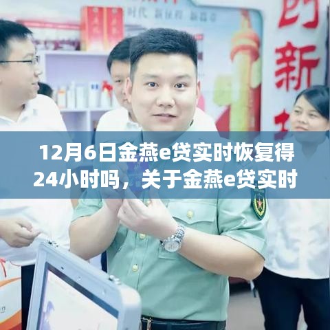 关于金燕e贷实时恢复时间的深度解析与探讨，恢复时间是否达24小时？